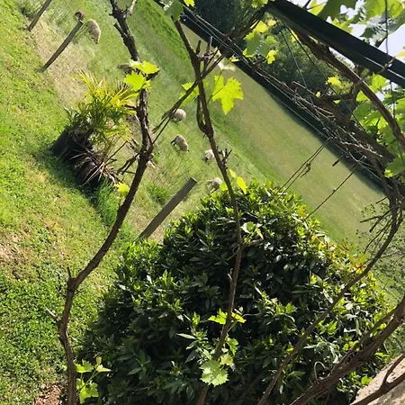 Gæstehus La Ferme Parrinet - Et D'hotes 4*