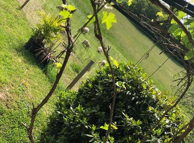 Casa de hóspedes La Ferme Parrinet - Et D'hôtes 4*